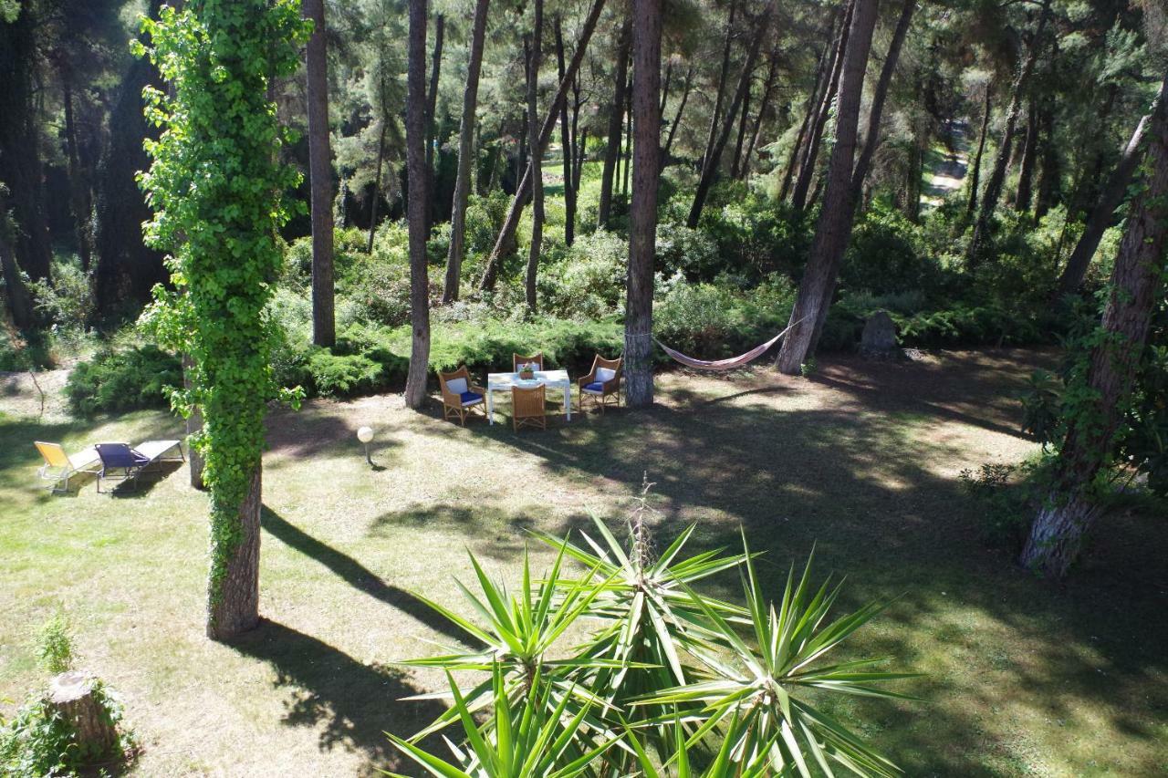 Beautiful Summerhouse In Sani'S Pine Forest Sani  ภายนอก รูปภาพ